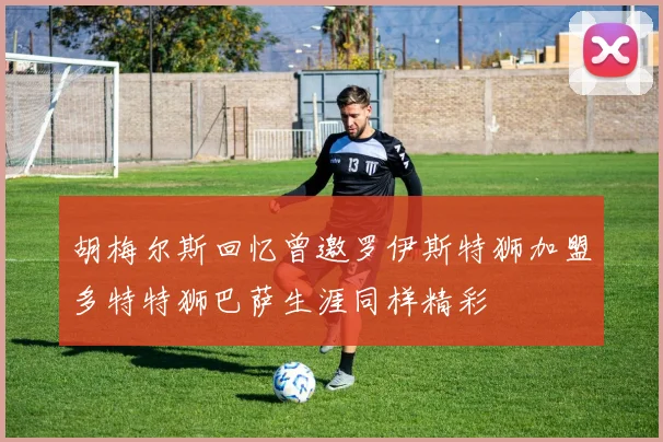胡梅尔斯回忆曾邀罗伊斯特狮加盟多特特狮巴萨生涯同样精彩